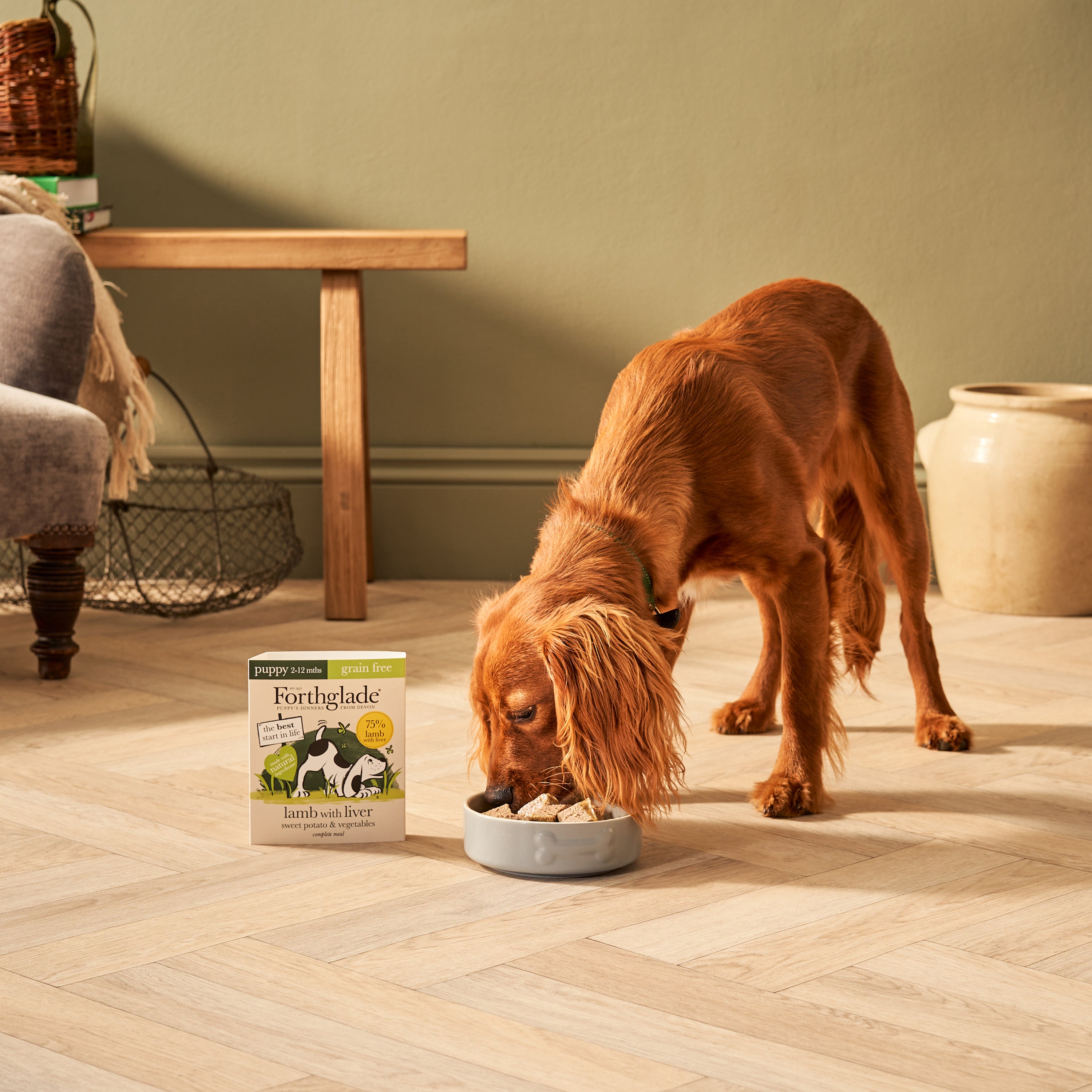 Puppy Lamb & Liver Wet Dog Food