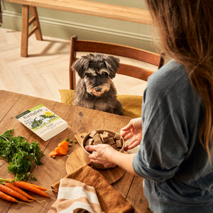 Senior Lamb & Butternut Squash Wet Dog Food