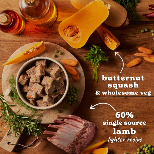 Senior Lamb & Butternut Squash Wet Dog Food