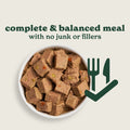 Senior Lamb & Butternut Squash Wet Dog Food