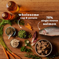 Salmon & Potato Wet Dog Food