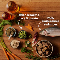 Salmon & Potato Wet Dog Food