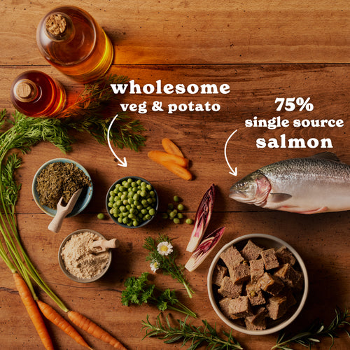 Salmon & Potato Wet Dog Food