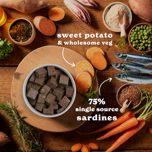 Sardines & Sweet Potato Wet Dog Food