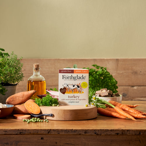 Turkey & Sweet Potato Wet Dog Food