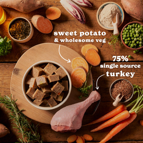 Turkey & Sweet Potato Wet Dog Food