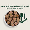 Turkey & Sweet Potato Wet Dog Food