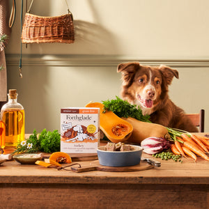 Senior Turkey & Butternut Squash Wet Dog Food