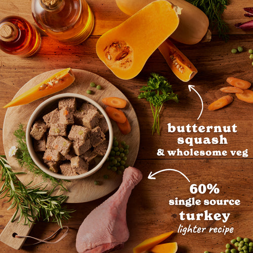 Senior Turkey & Butternut Squash Wet Dog Food