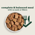 Senior Turkey & Butternut Squash Wet Dog Food