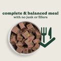 Chicken & Butternut Squash Wet Dog Food