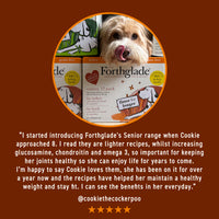 Senior Lamb & Butternut Squash Wet Dog Food