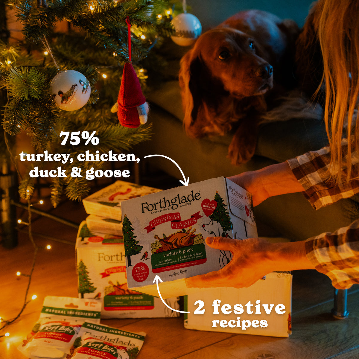 Christmas Classics Wet Dog Food Variety Pack