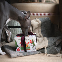 Christmas Classics Wet Dog Food Variety Pack