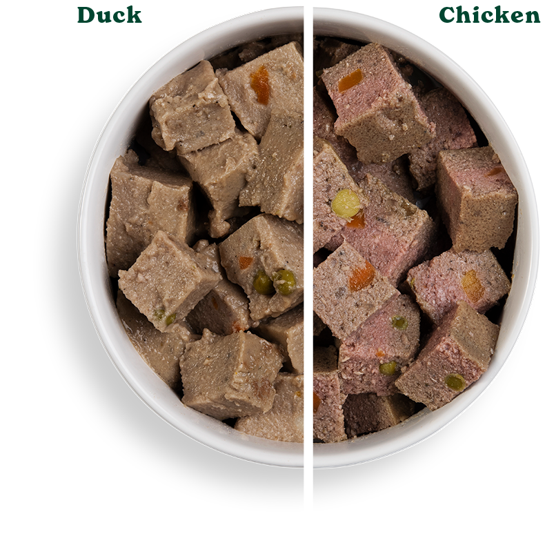 GF 12x395g VP ADT Duck Chicken Split Bowls 790px