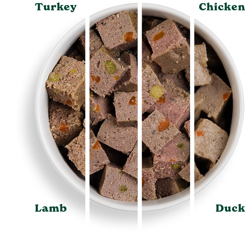 GF 12x395g VP Bundle ADT Turkey Lamb Chicken Duck Split Bowls 790px