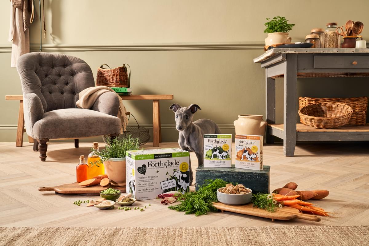 Natural Puppy Food Award Winning Dog Food Forthglade