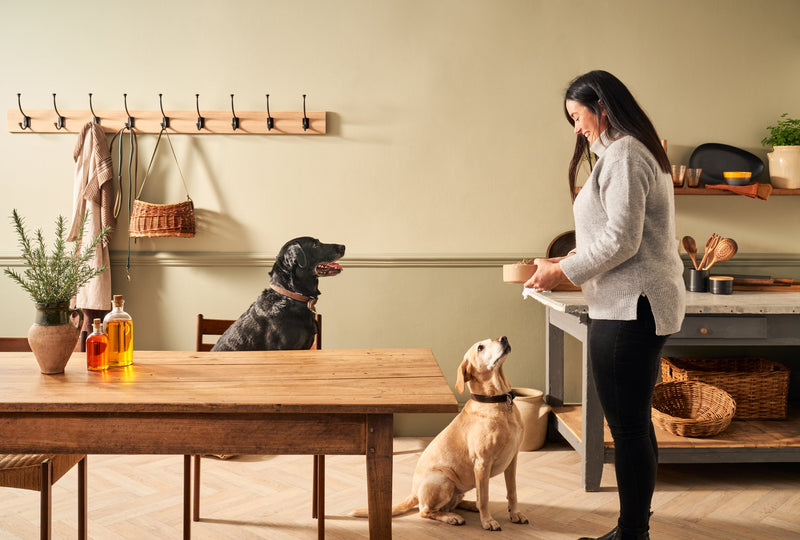 GF 395g SNR Enrichment Dog 18   Large b6f94621 7258 4c1a a240 1a4a112e1feb