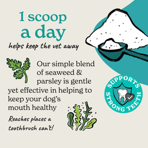 Dental Powder for Dogs