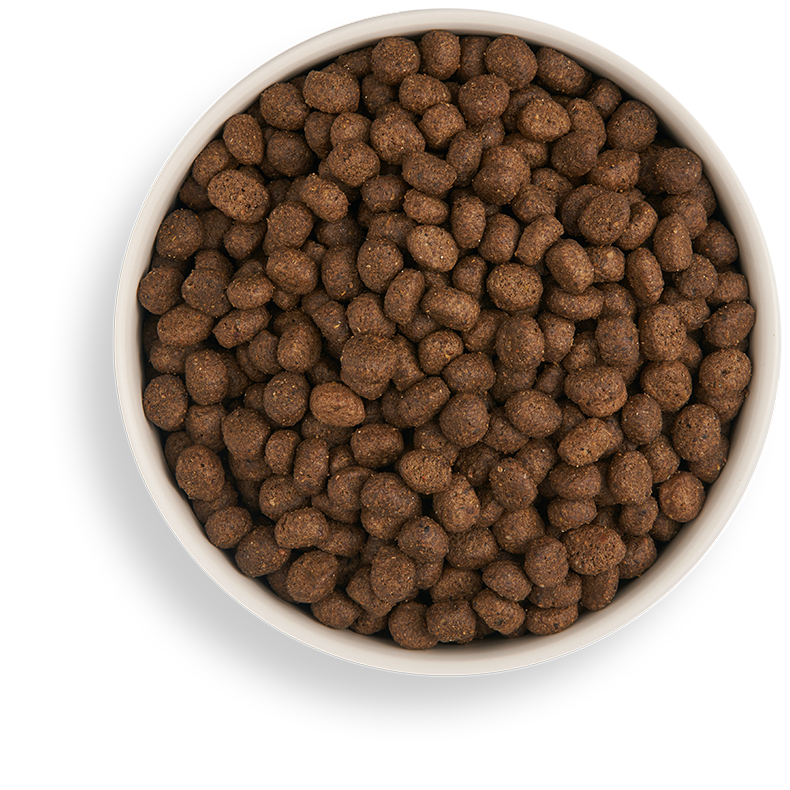 GF LB Dry 3cc3ce2a 0e8d 4704 af63 0e74240493d0
