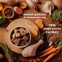 Turkey, Chicken & Liver Wet Dog Food Variety Pack