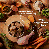 Turkey, Chicken & Liver Wet Dog Food Variety Pack