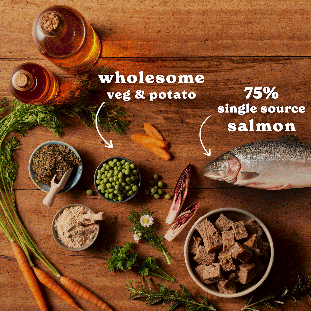 Salmon & Sardines Wet Dog Food Variety Pack