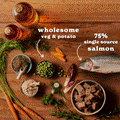 Salmon & Sardines Wet Dog Food Variety Pack