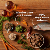 Salmon & Sardines Wet Dog Food Variety Pack