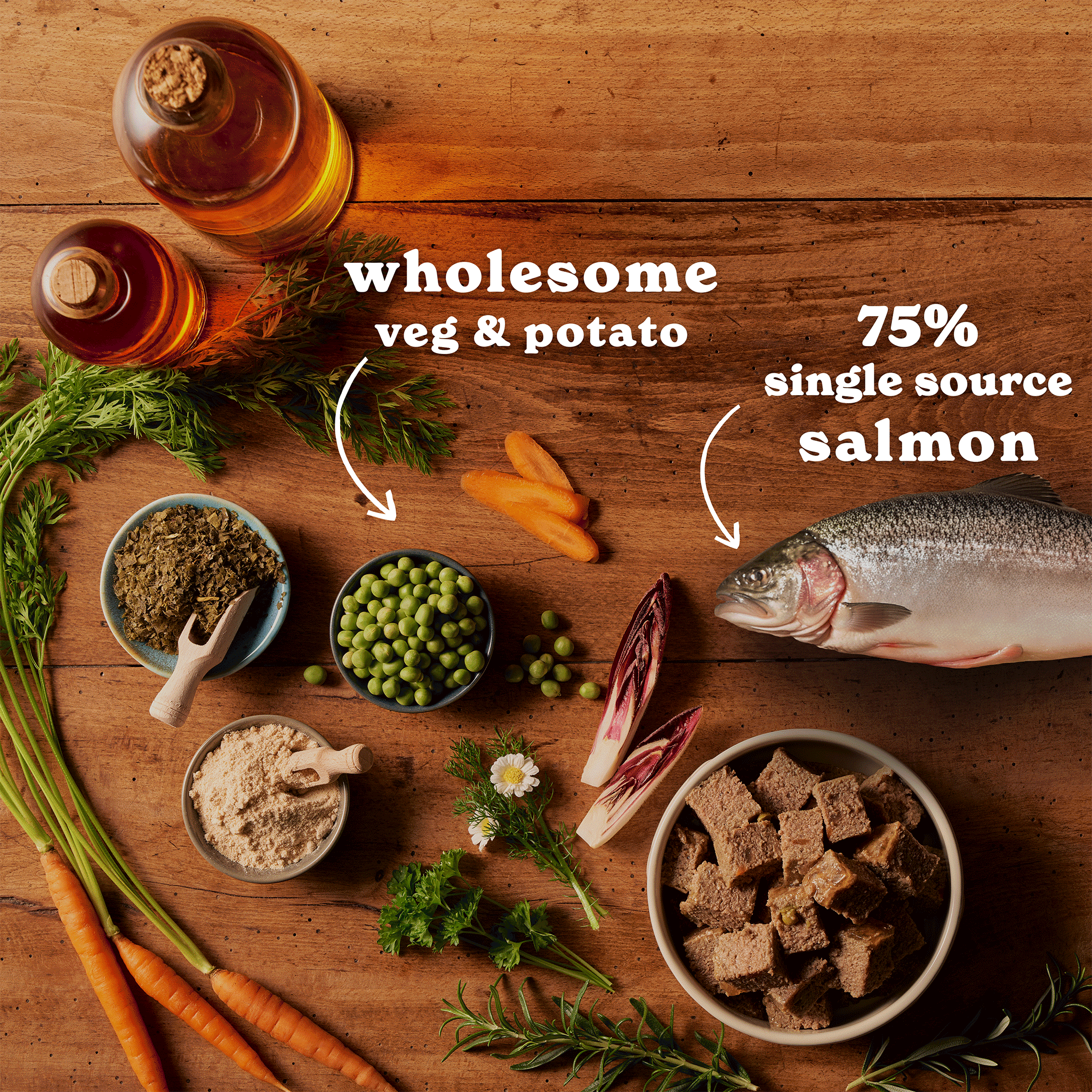 Salmon & Sardines Wet Dog Food Variety Pack