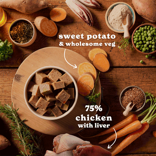 Chicken & Liver Wet Dog Food Variety Pack