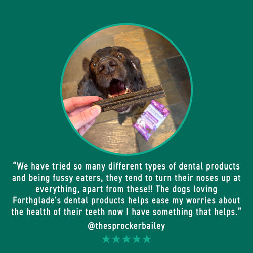 Fresh Breath Dog Dental Sticks