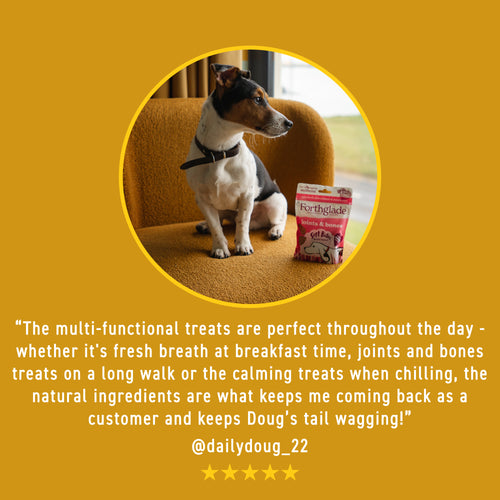Fresh Breath Peppermint & Parsley Dog Treats