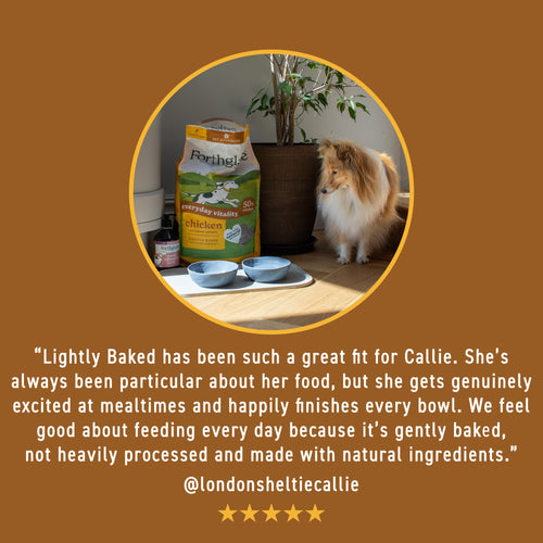 Lightly Baked Turkey Dry Dog Food