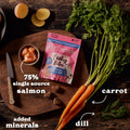 Fishy Bites Salmon & Dill Dog Treats