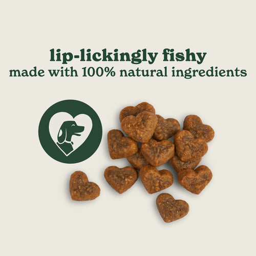Fishy Bites Salmon & Dill Dog Treats