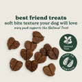 National Trust Chicken & Duck Dog Treats