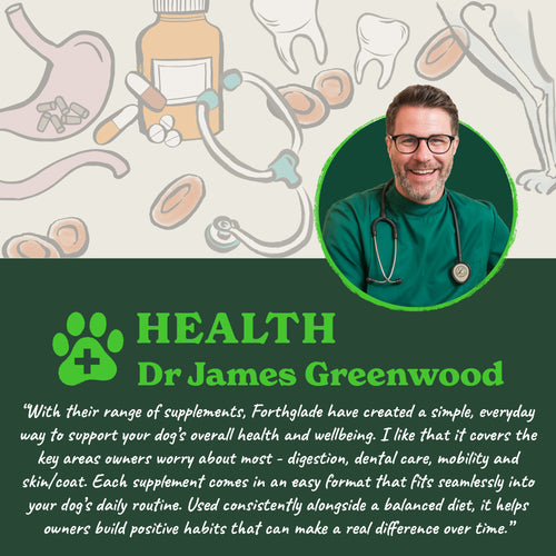 Scottish Salmon Oil for Dogs