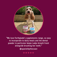 Joint Care Meaty Pieces - Dog Joint Supplement
