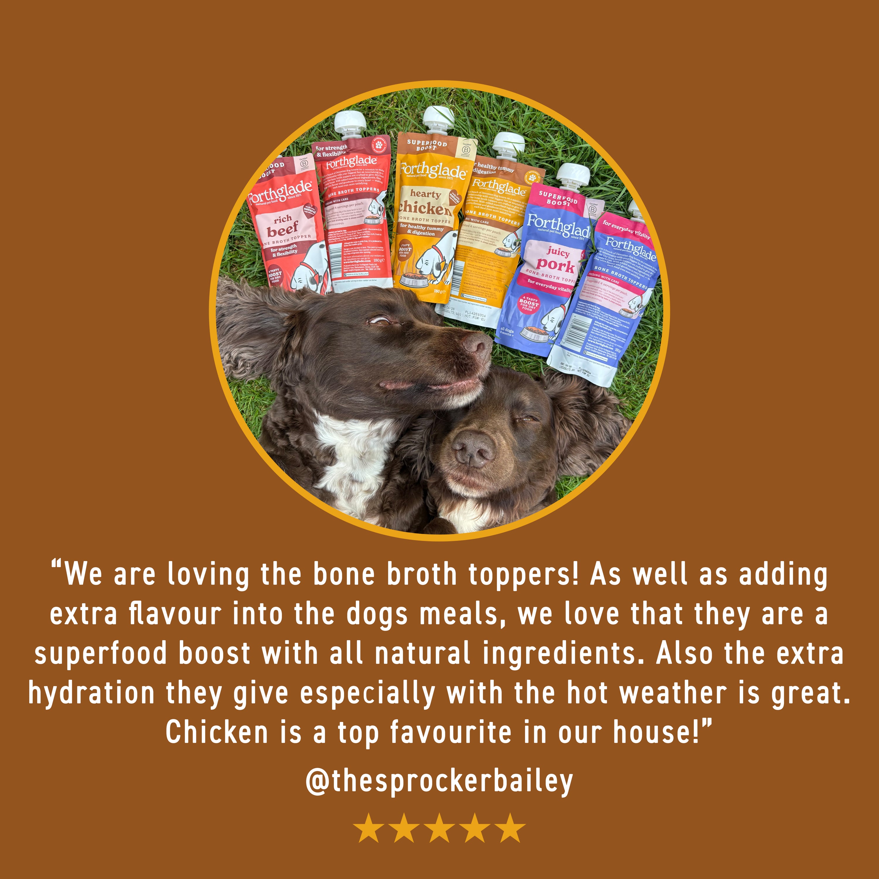 Hearty Chicken Bone Broth Topper