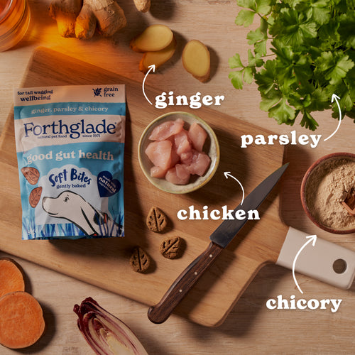 Parsley, Ginger & Chicory Digestive Dog Treats