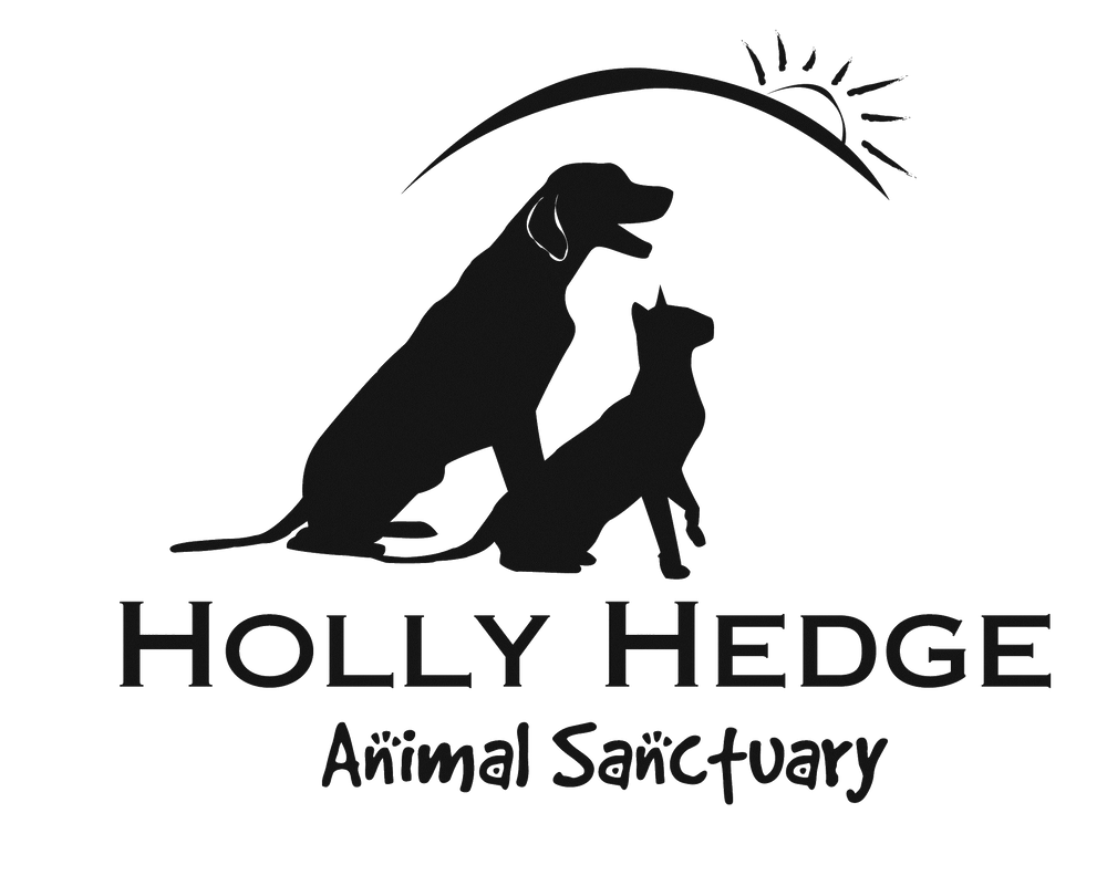 HH logo transparent png 2