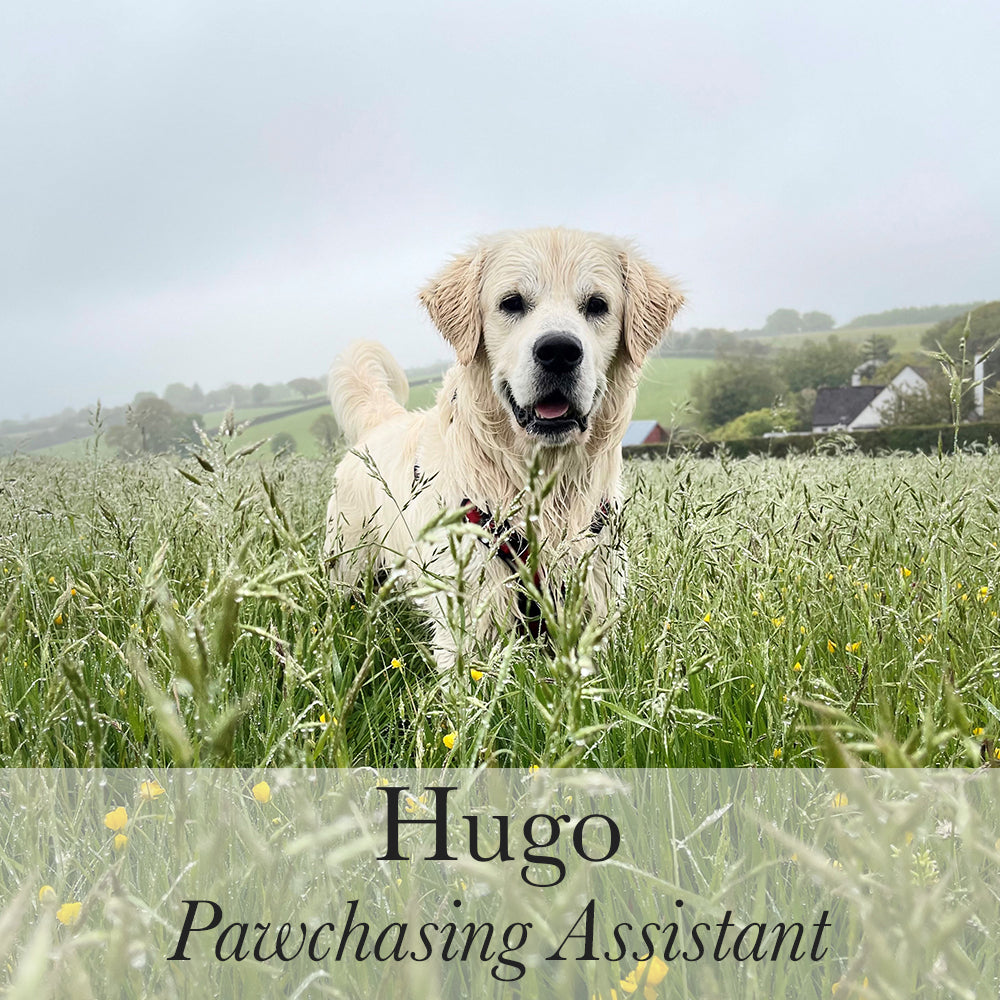 Hugo Pawchasing Assistant