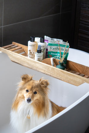 Digby x Forthglade Pampering Wellbeing Box