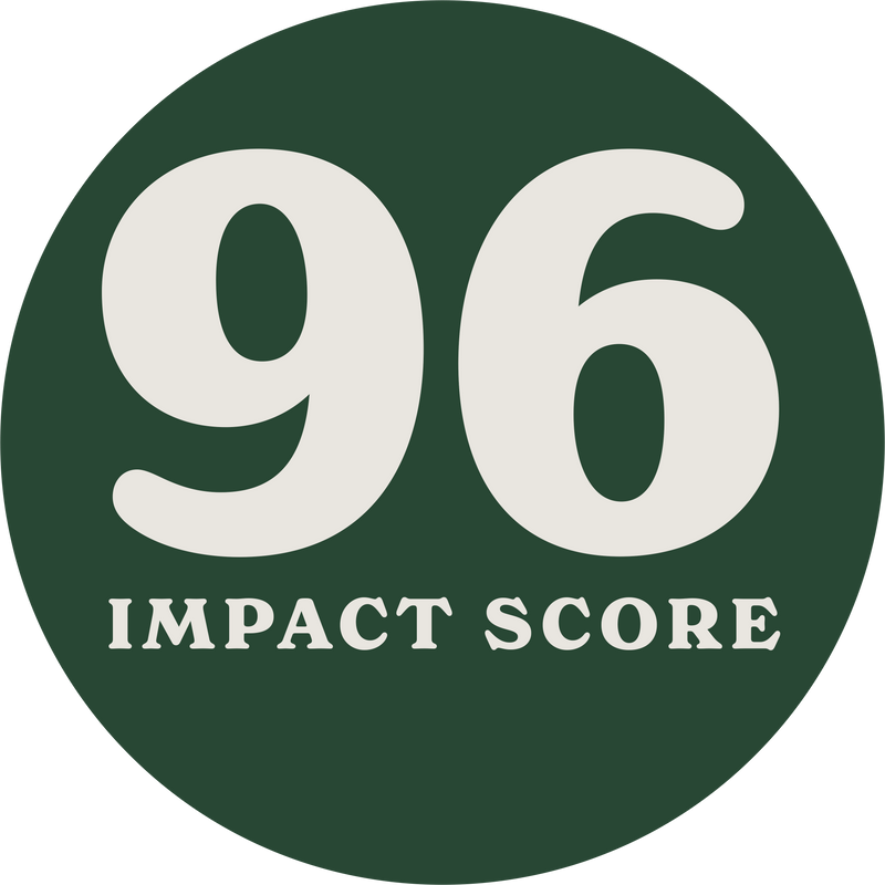 Icon Clean BCorp Impact Score 96