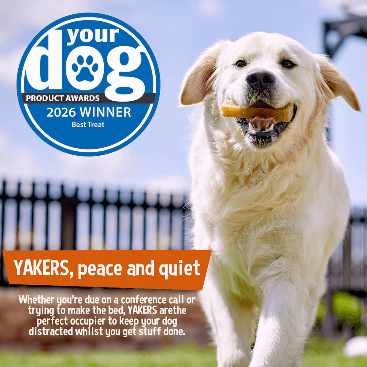 YAKERS Strawberry Dog Chew