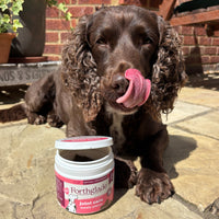Joint Care Meaty Pieces - Dog Joint Supplement