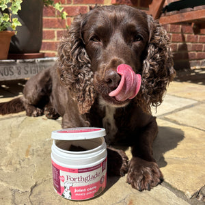 Joint Care Meaty Pieces - Dog Joint Supplement