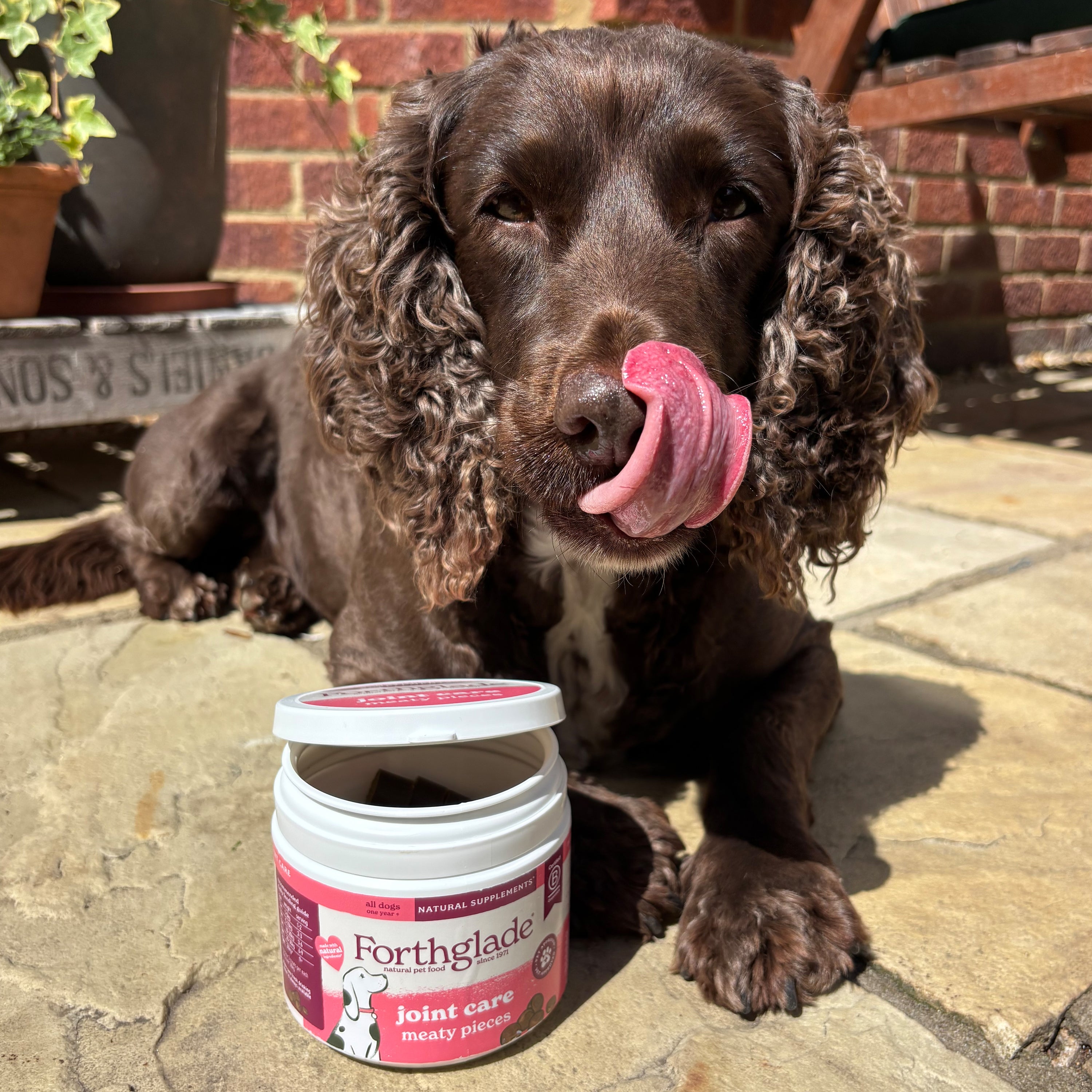 Joint Care Meaty Pieces - Dog Joint Supplement