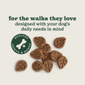 Joints & Bones Salmon Oil Dog Treats